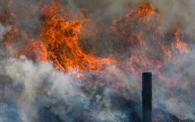 Debido a cambios geoquímicos y climáticos, temporada de incendios forestales en Puebla se intensificará